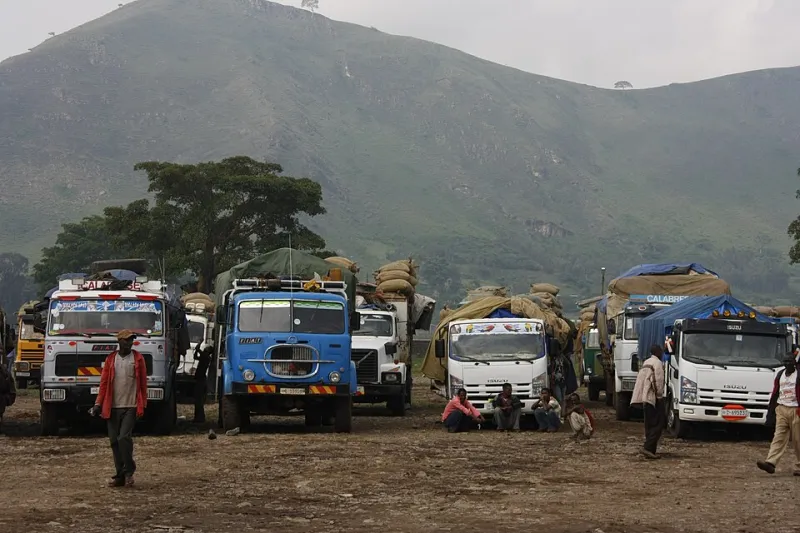 The Price of a Perfect Cup: Ethiopia's Coffee Economy and the Justice Gap American Consumers Rarely See