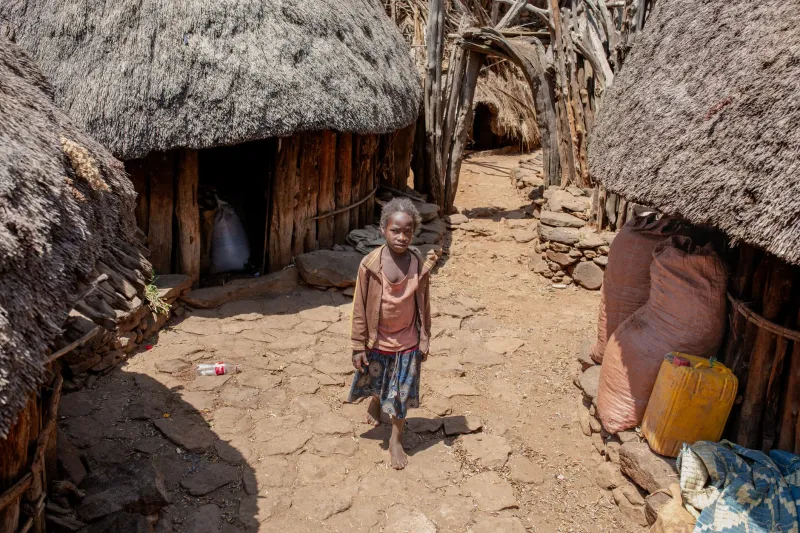 Roots Before Remedies: How Ethiopia's Traditional Healers Are Redefining Rural Public Health—and What American Institutions Are Finally Admitting