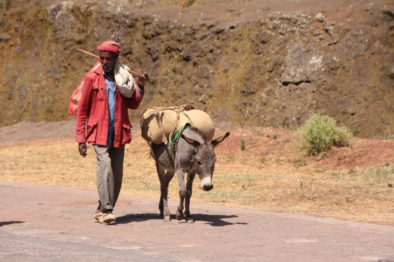 Overlooked by Design: Why Western Policymakers Keep Missing the Amhara Crisis in Ethiopia